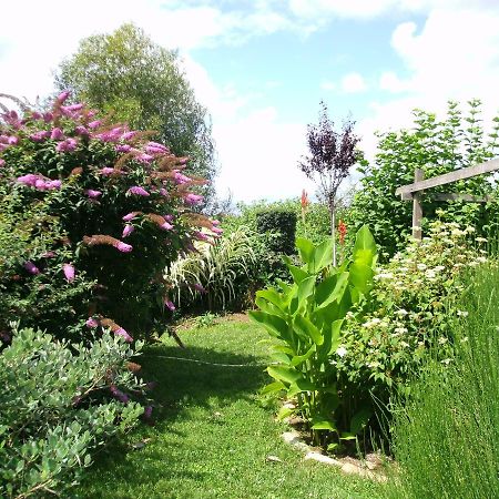 Bed and Breakfast Le Bord De L'Eau Sainte-Terre Exterior foto