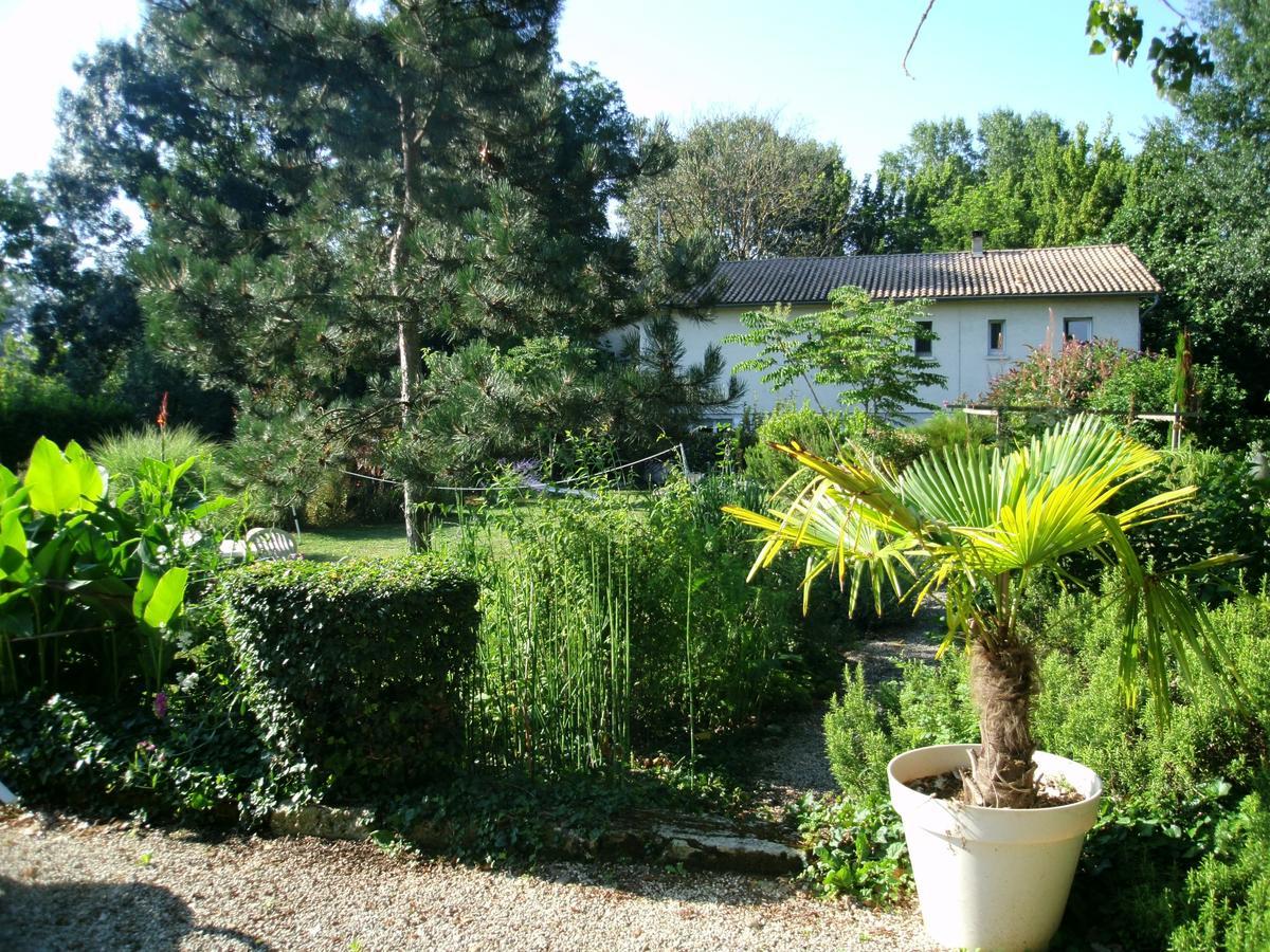 Bed and Breakfast Le Bord De L'Eau Sainte-Terre Exterior foto
