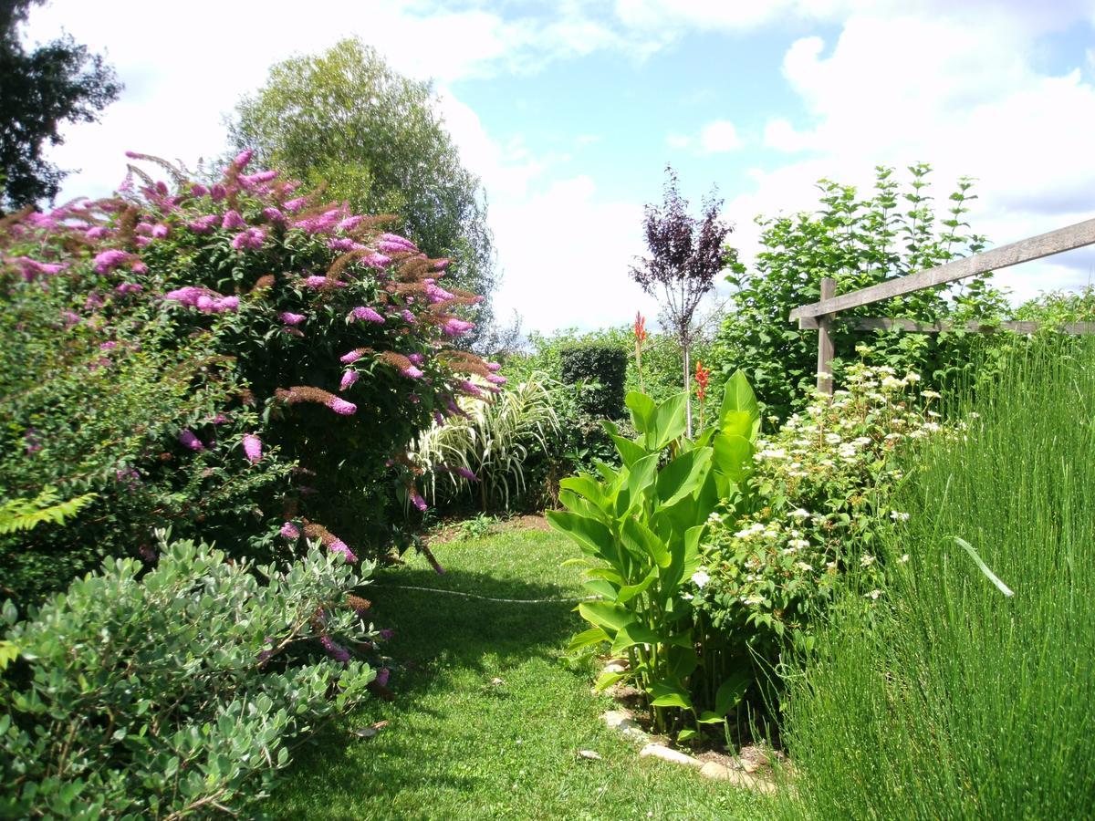 Bed and Breakfast Le Bord De L'Eau Sainte-Terre Exterior foto